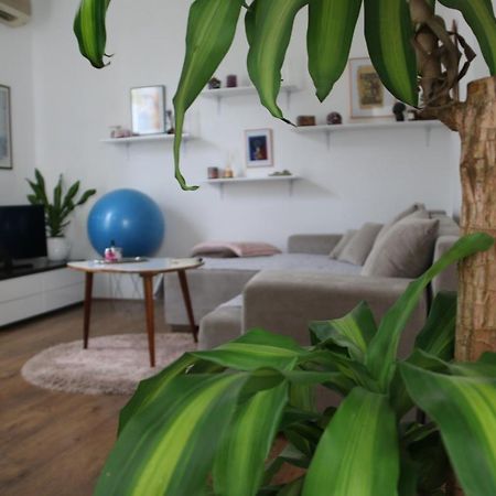 Cosy Apartment - 10 Minutes Walk To Sea Zadar Exterior foto